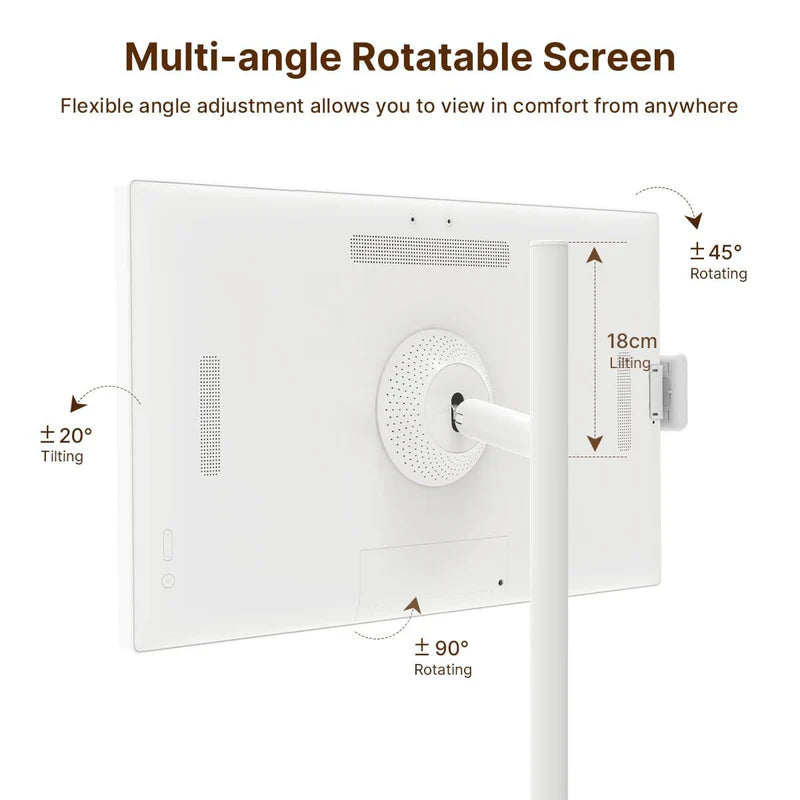 PinGo portable TV